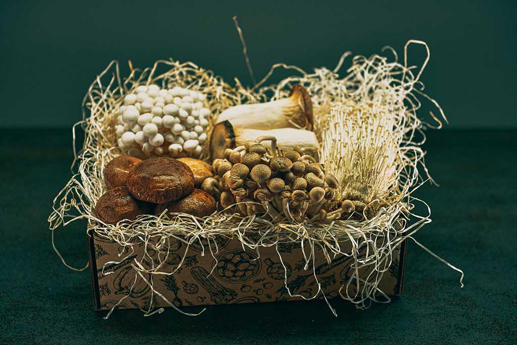 Setas eryngii para regalo: The MONTE Box, Cestas de Frutas y Verduras online